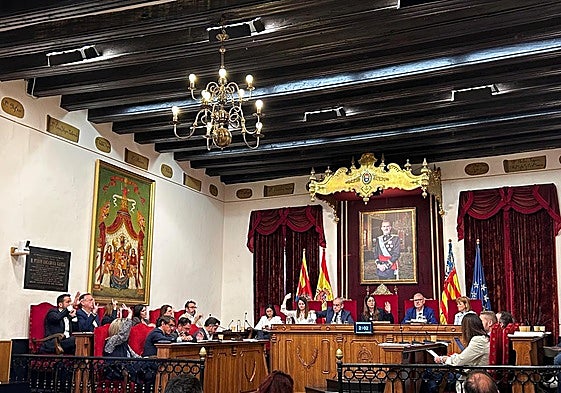 Votación en el pleno de Elche.