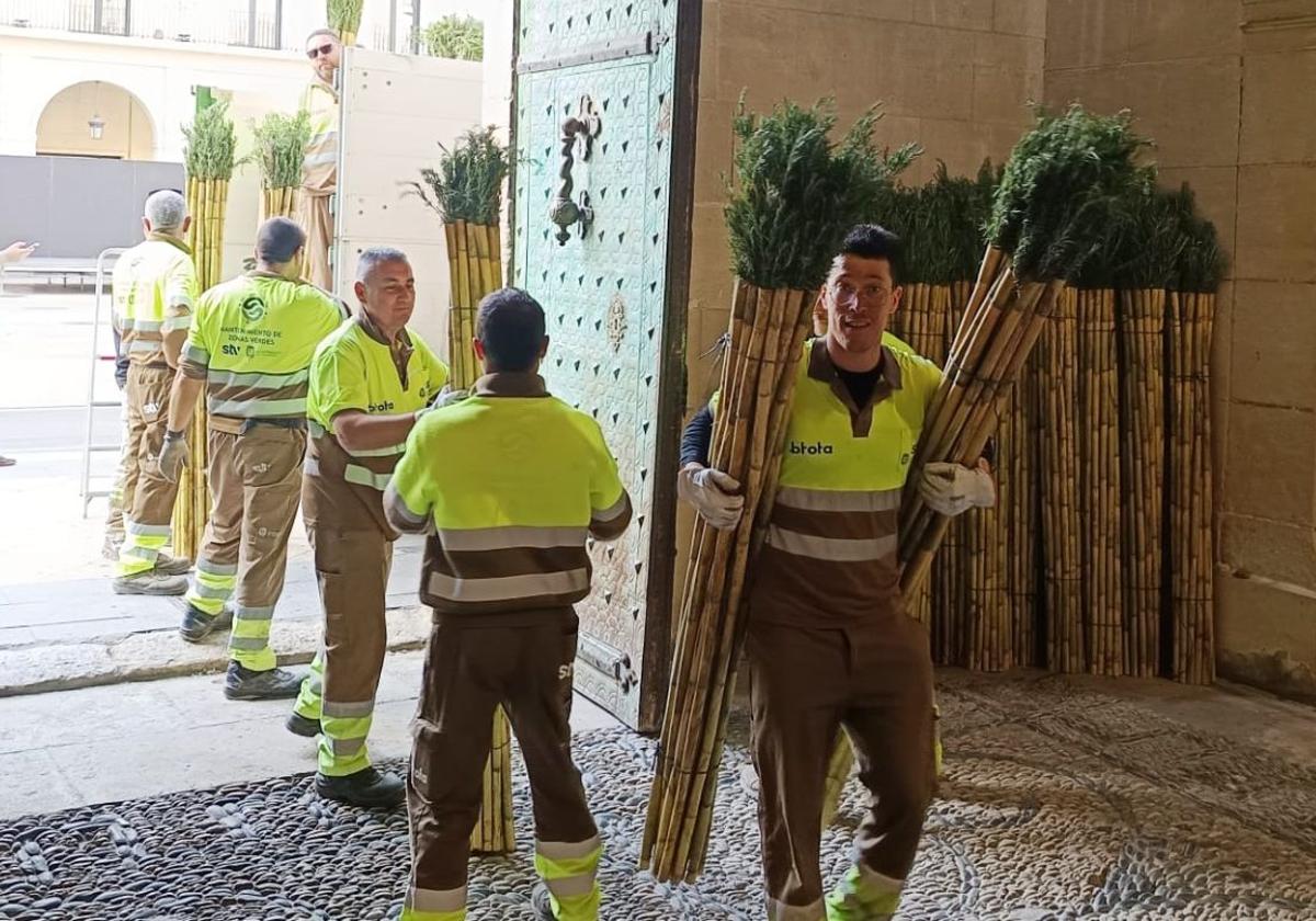 Special Cleaning Services for Santa Faz
