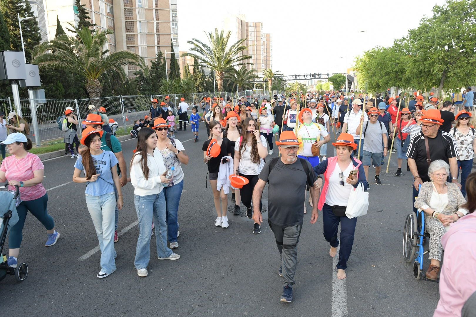 Búscate en las imágenes de la romería de la Santa Faz 2025