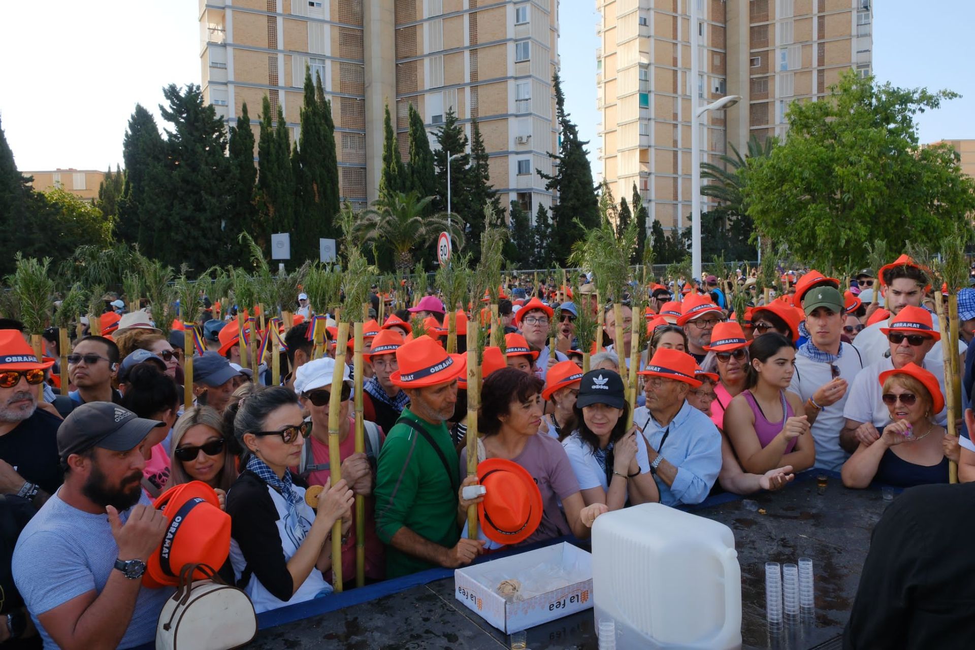 Búscate en las imágenes de la romería de la Santa Faz 2025