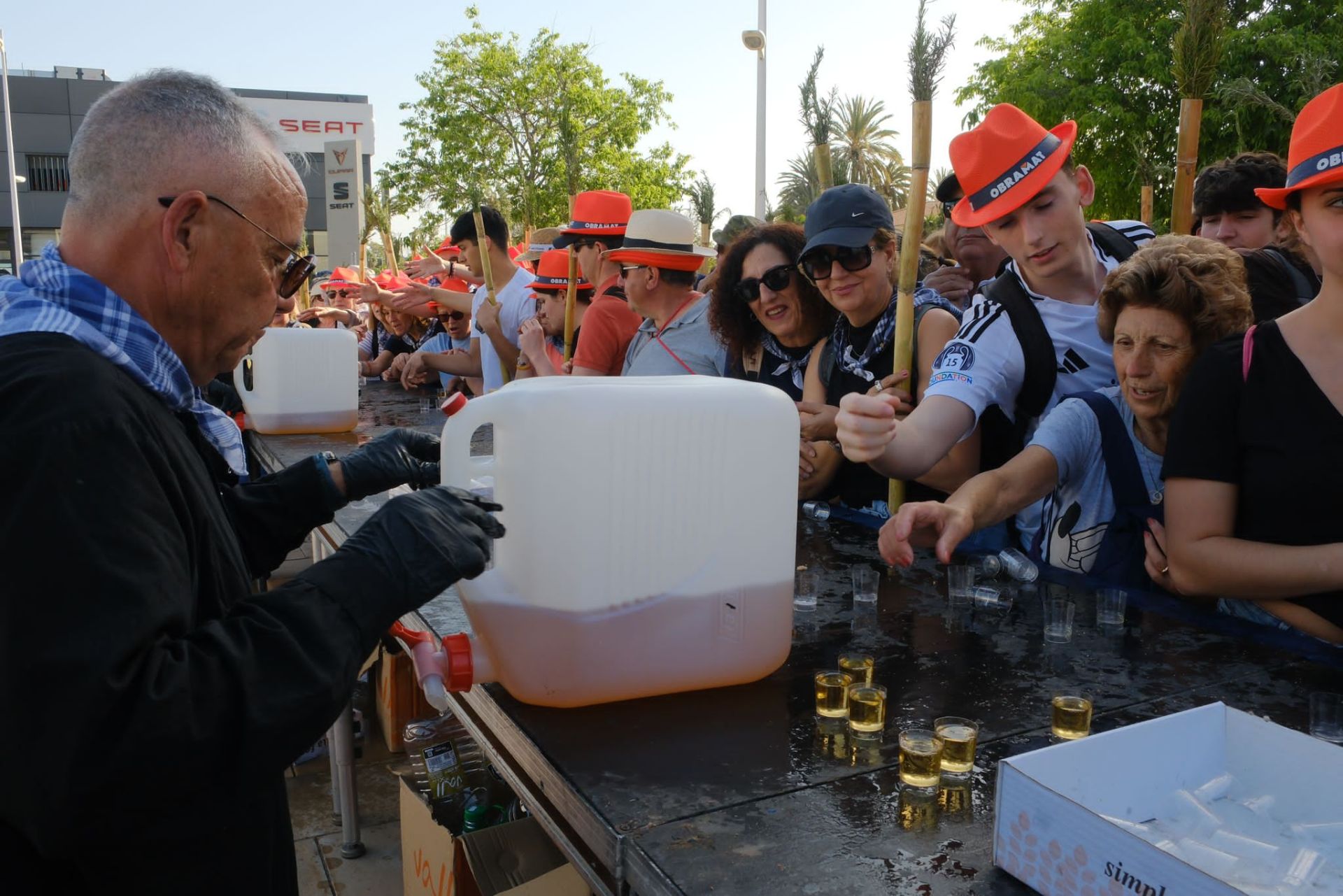 Búscate en las imágenes de la romería de la Santa Faz 2025