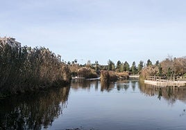Parque La Marjal de Alicante.