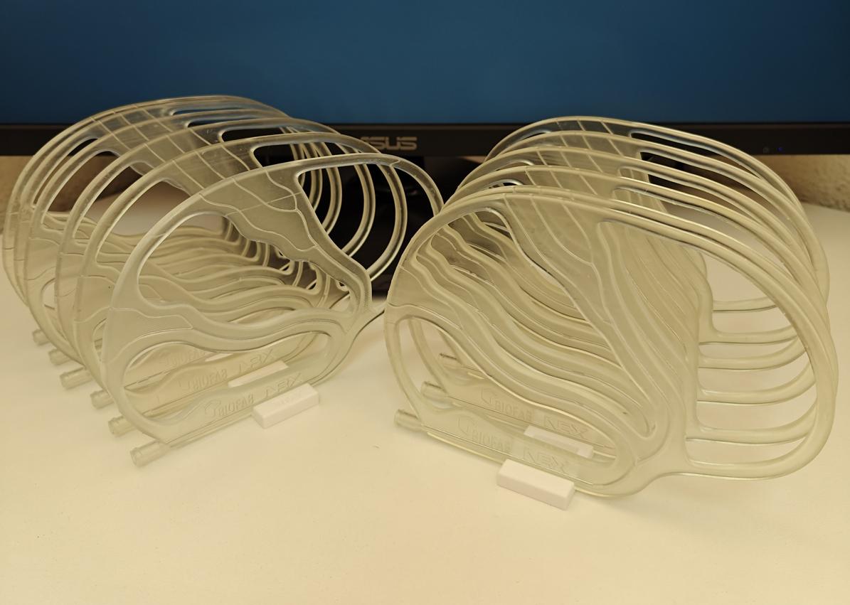 Imagen secundaria 1 - Investigadores responsables del proyecto junto a los modelos diseñados con 3D.