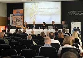 II Jornadas sobre Seguridad en la Fiesta celebradas en Alicante este sábado.