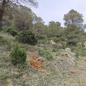 Trabajos en el monte Cámara.