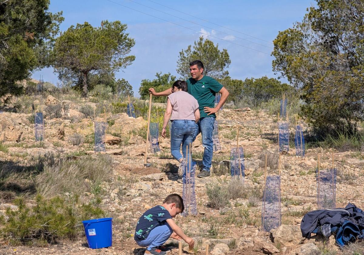 Un paso más para que Alicante tenga su gran pulmón verde en el monte
