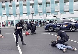 Imágenes del simulacro.