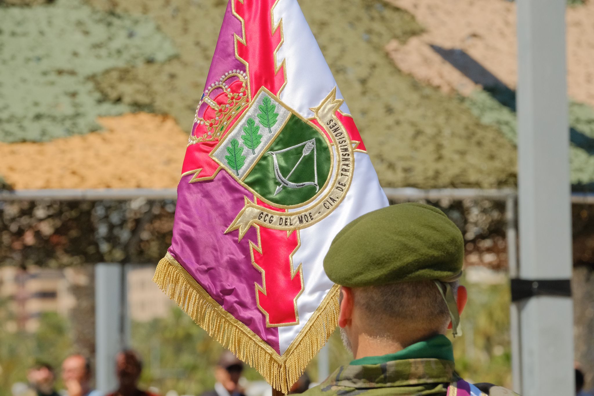 Más de mil personas juran la bandera de España con los &#039;boinas verdes&#039; en el Puerto de Alicante