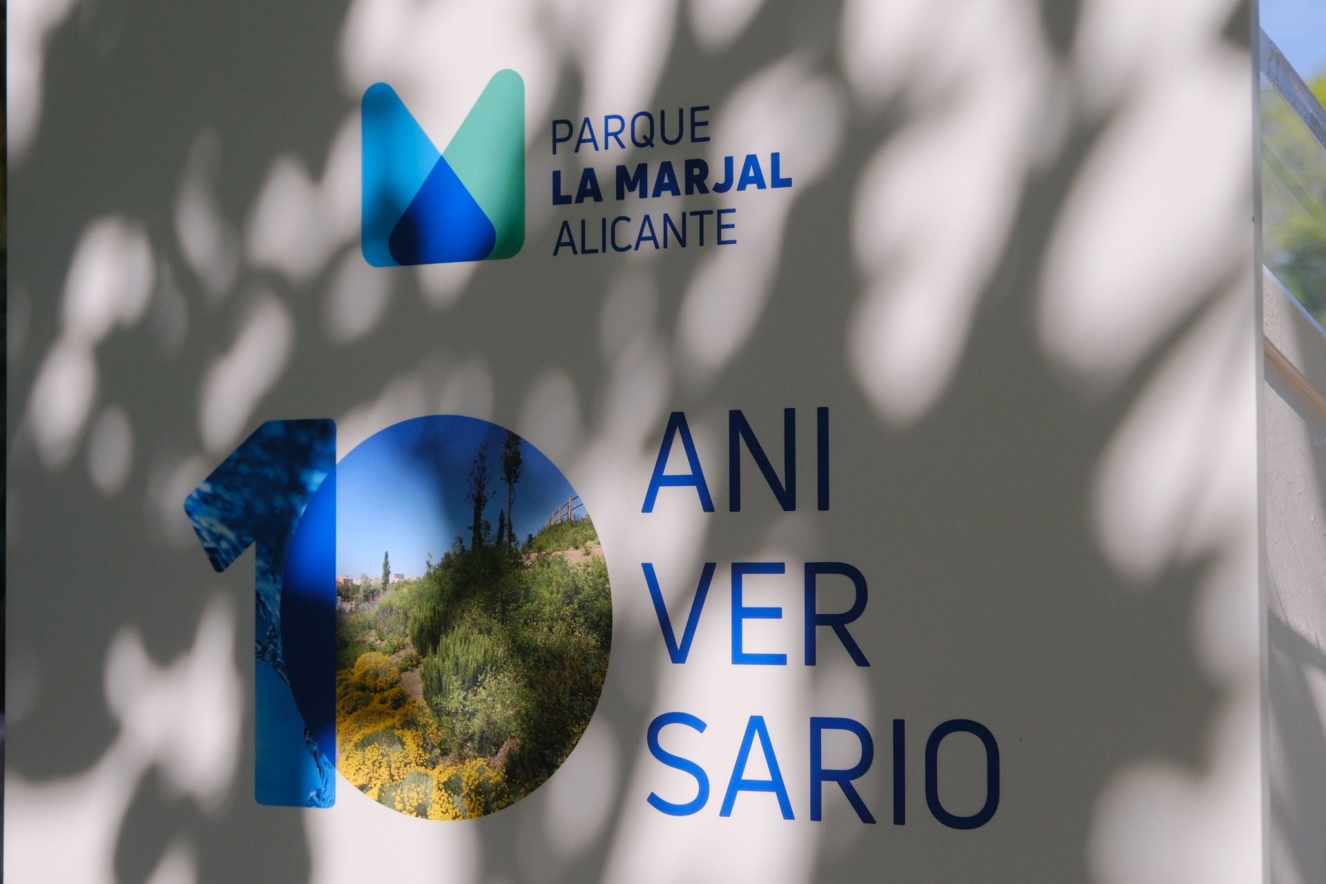 Alicante reconoce a los creadores del parque inundable de La Marjal