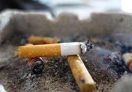 EL Gobierno ampliará la prohibición de fumar en distintos espacios públicos.