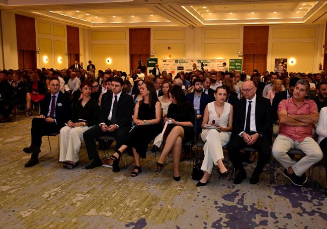 Premios Cedma 2025