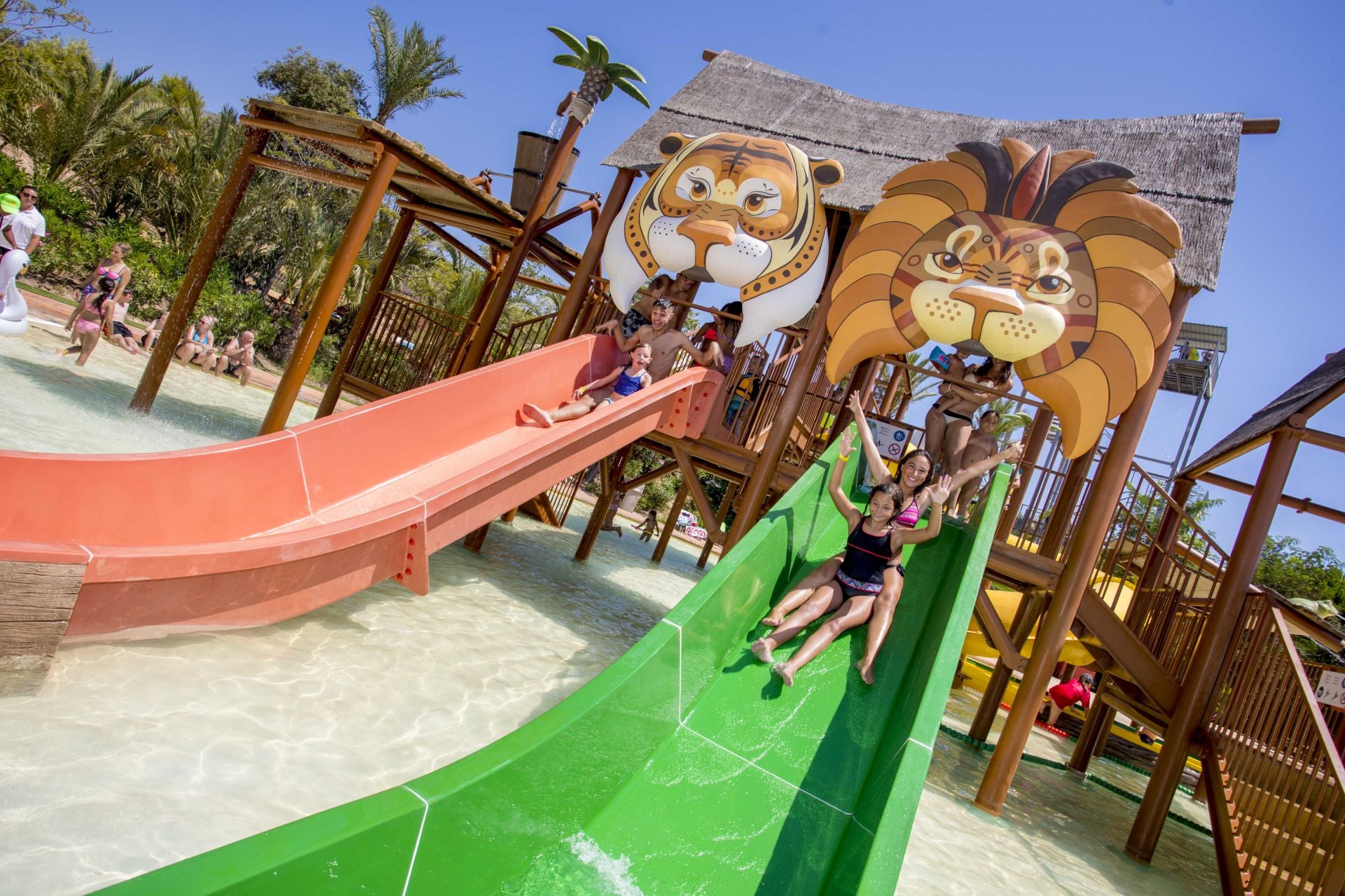 Imagen secundaria 1 - Terra Natura Benidorm Launches New Edition of Summer School