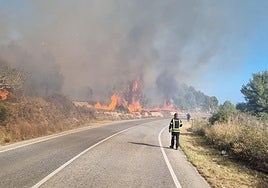 Imagen de archivo de un incendio forestal en Xàbia.