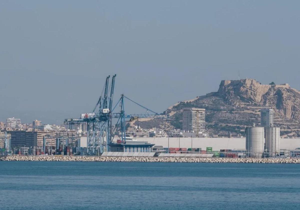 Land designated for the construction of fuel storage facilities at the port.