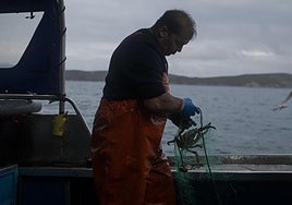 Pescador, en plena faena, en imagen de archivo.