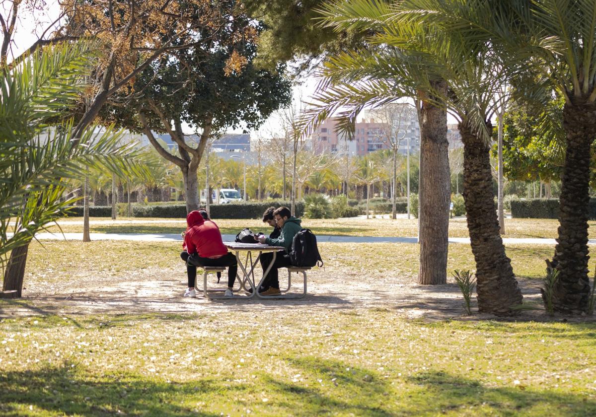 Campus of the Miguel Hernández University of Elche.