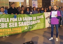Imagen de archivo de una protesta convocada por el Icoval.