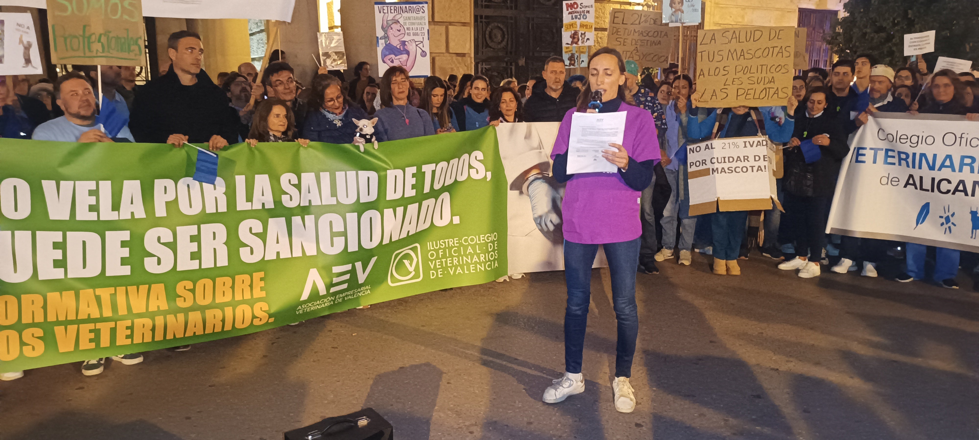 Imagen de archivo de una protesta convocada por el Icoval.