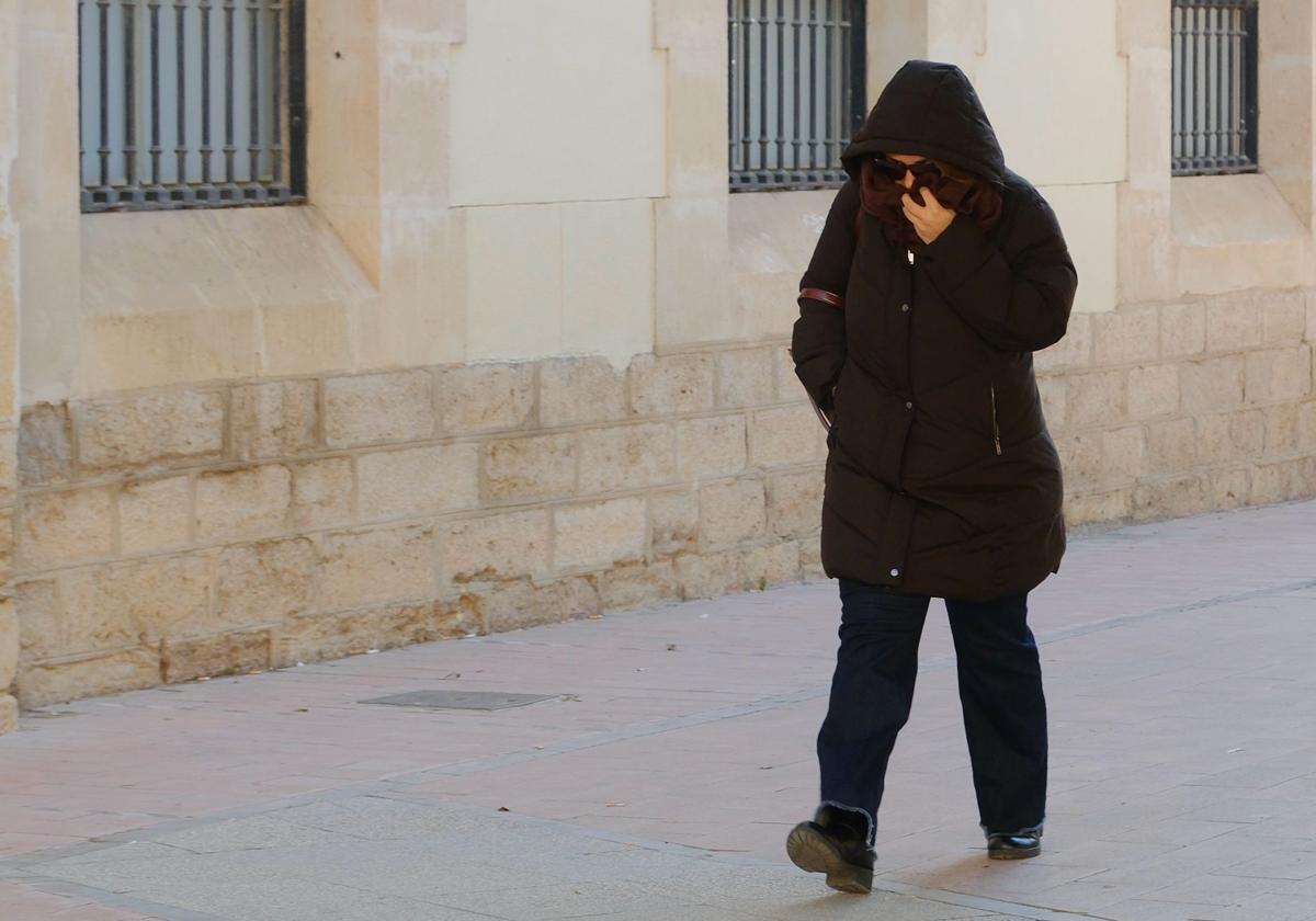 The Five Most Important News Stories from Alicante this Monday, June 9
