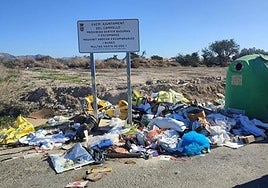 Vertido de residuos en la vía pública en El Campello.