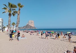 Jornada de limpieza en la playa de Calp.