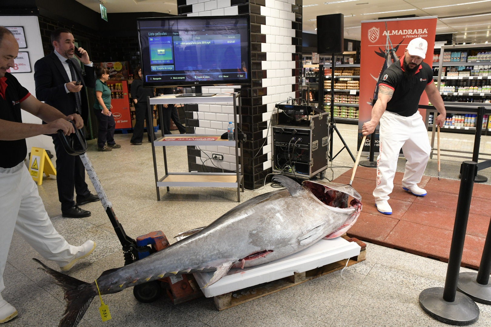 Las mejores imágenes del espectacular ronqueo del atún en El Corte Inglés de Alicante