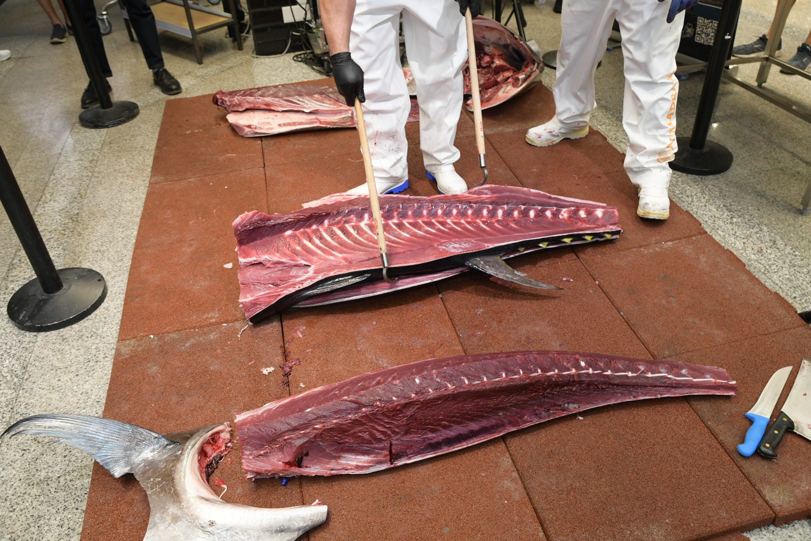 Las mejores imágenes del espectacular ronqueo del atún en El Corte Inglés de Alicante