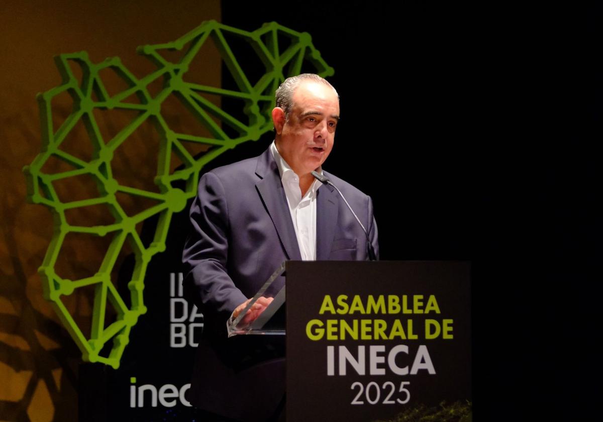 El presidente de Ineca, Ignacio Amirola, durante la asamblea.
