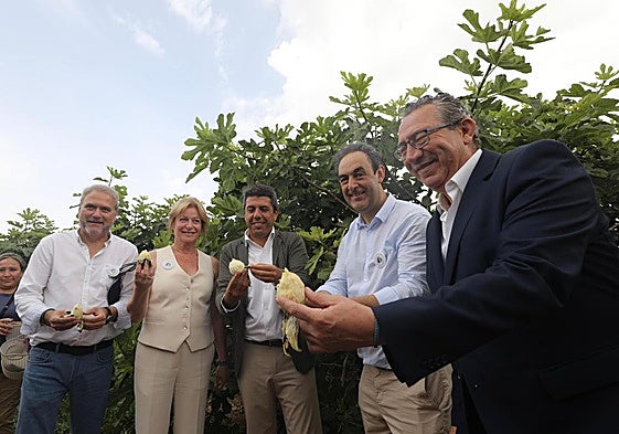 Corte simbólicos de la breva.