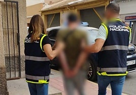 Imágenes de la detención del presunto agresor sexual.