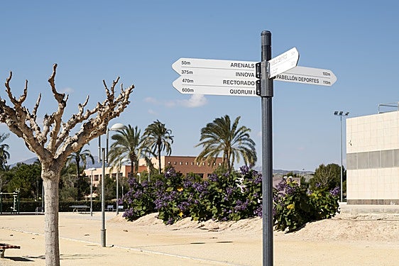 Campus de Elche de la UMH.