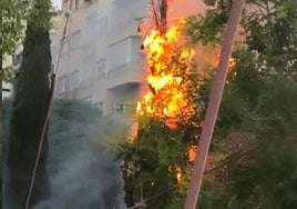 Incendio de un ciprés en la plaza Sèneca de Alicante.