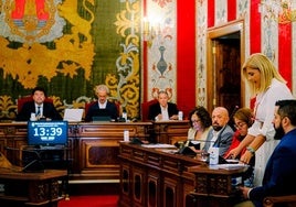 La portavoz de Vox, Carmen Robledillo, interviene durante un pleno.