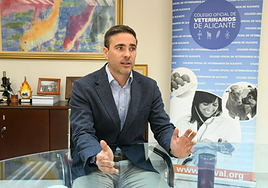 Gonzalo Moreno del Val es el presidente de los veterinarios alicantinos desde 2023.