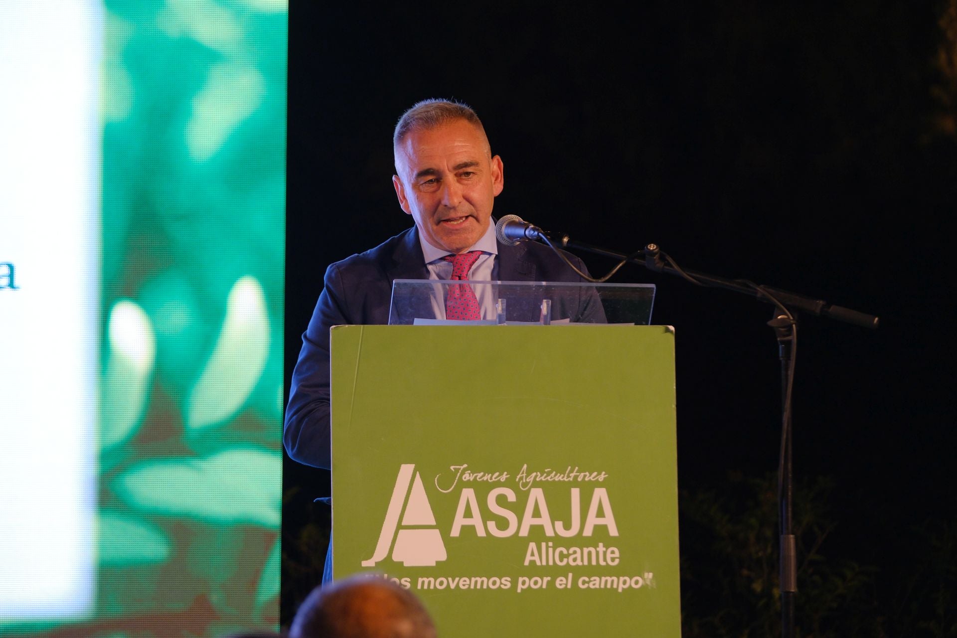 Las mejores imágenes de la Noche de la Agricultura Alicantina