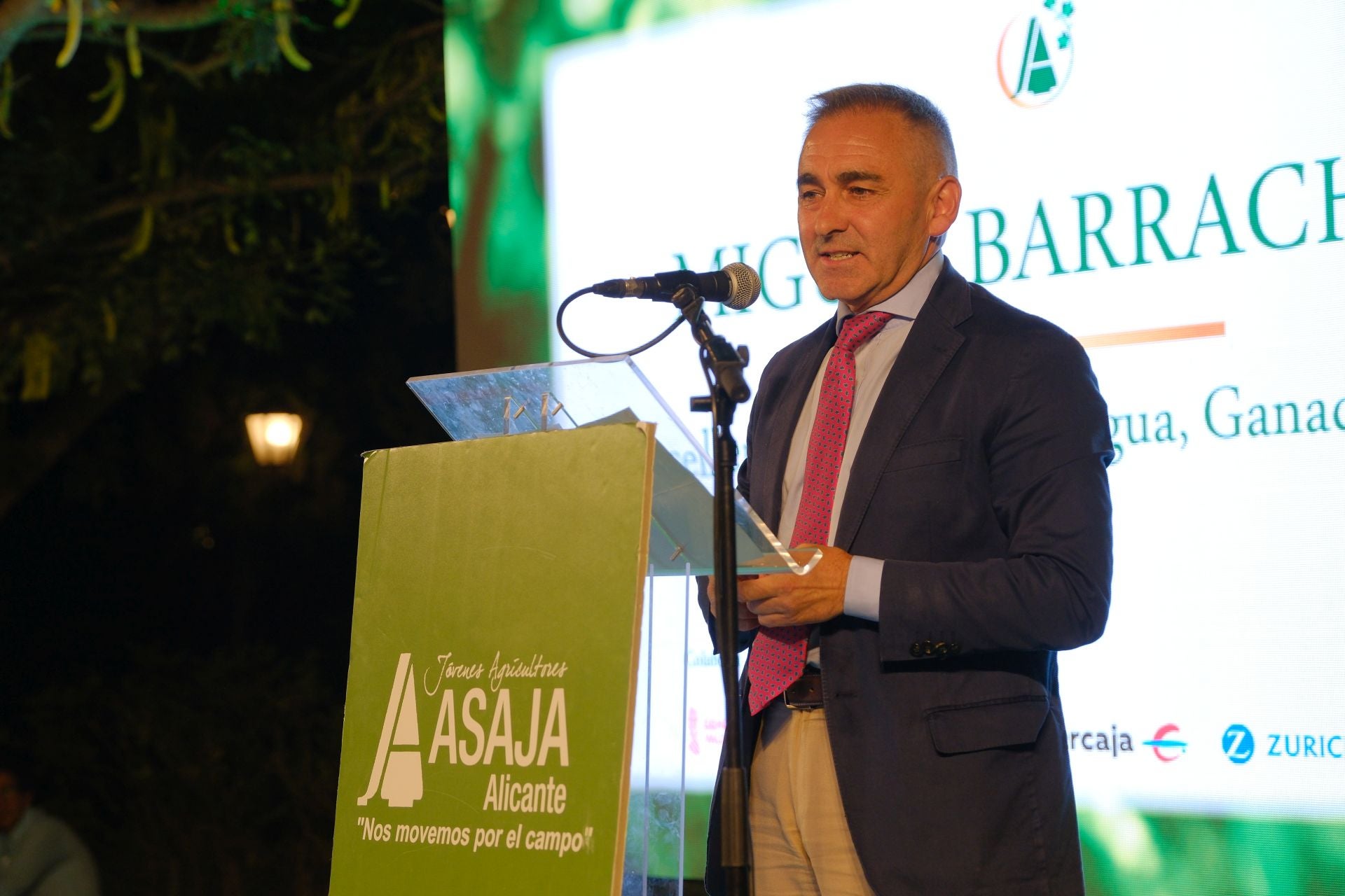 Las mejores imágenes de la Noche de la Agricultura Alicantina