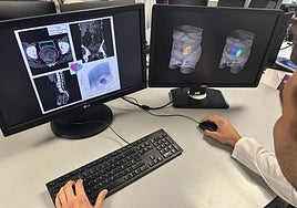 Un facultativo muestra el proyecto que financia el Ivace+i.