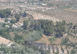 Efectos del fuego en Cocentaina este domingo.