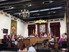 Pleno del Ayuntamiento de Elche.