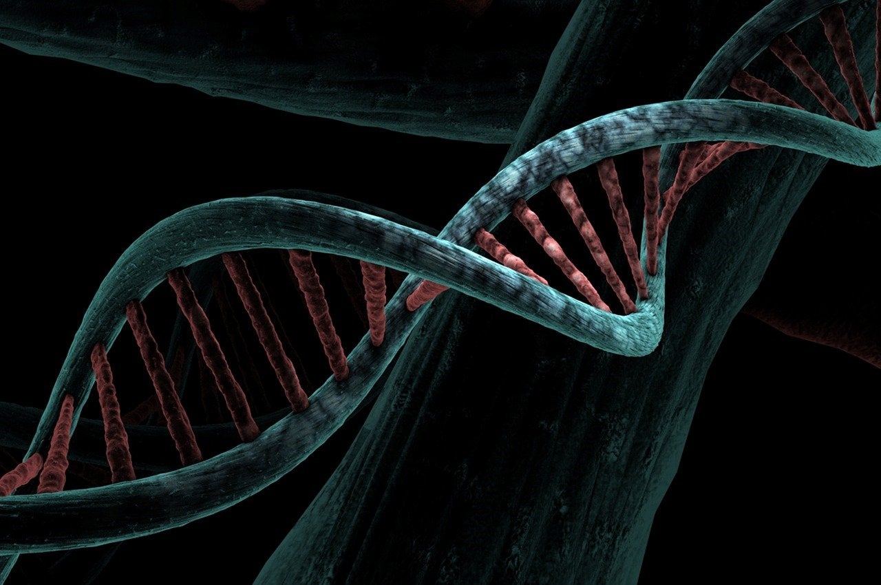 La investigación arroja luz sobre uno de los grandes enigmas de la microbiología.