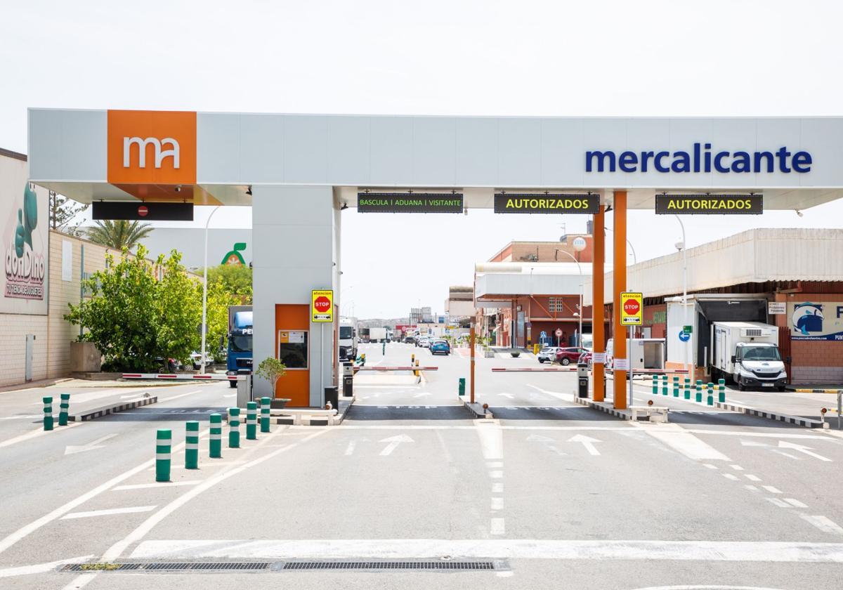 Entrada de Mercalicante.