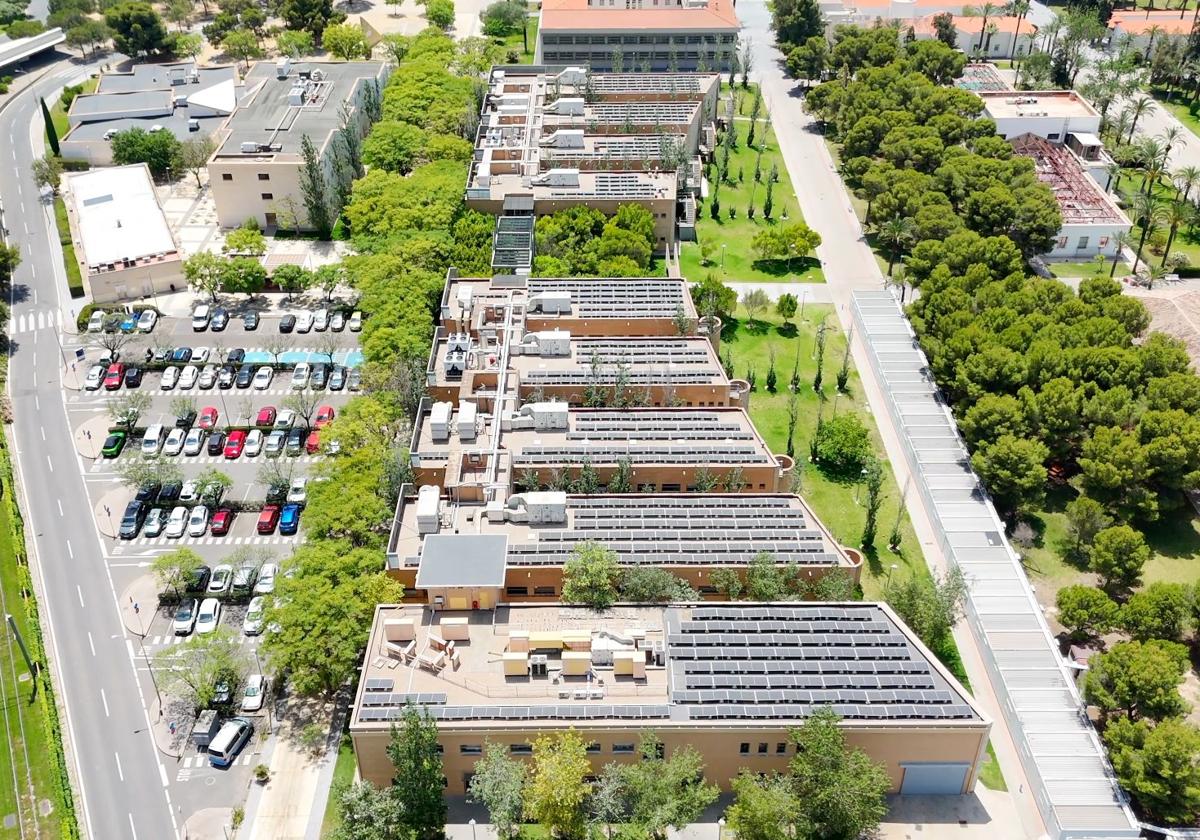 Imagen principal - La Universidad de Alicante se convierte en un bosque de energía verde con ocho nuevas plantas solares