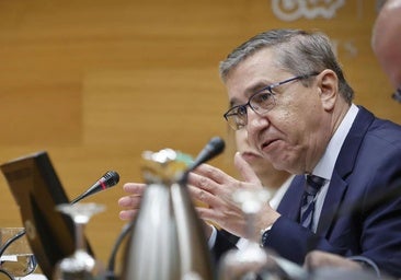 Rovira defiende el valenciano en Alicante y anuncia el aumento de colegios con esta lengua base tras la consulta