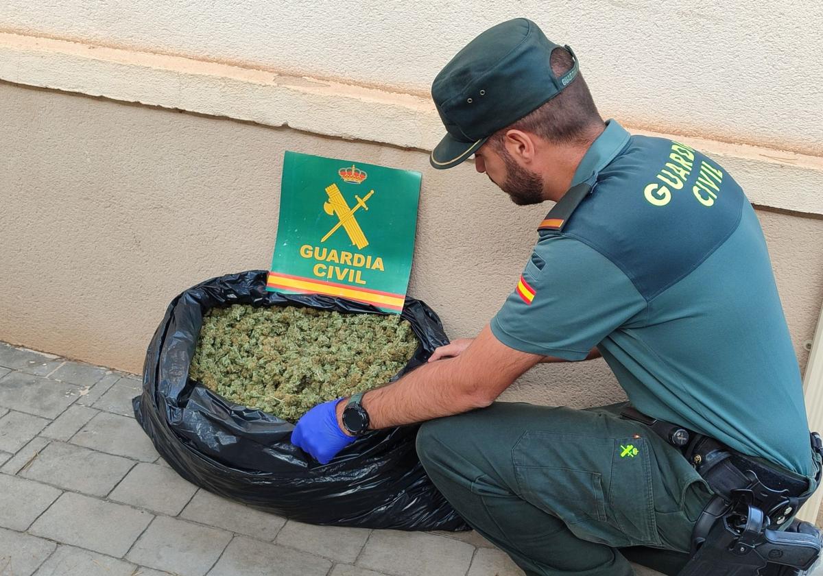 Imagen de la Guardia Civil con la sustancia extraída