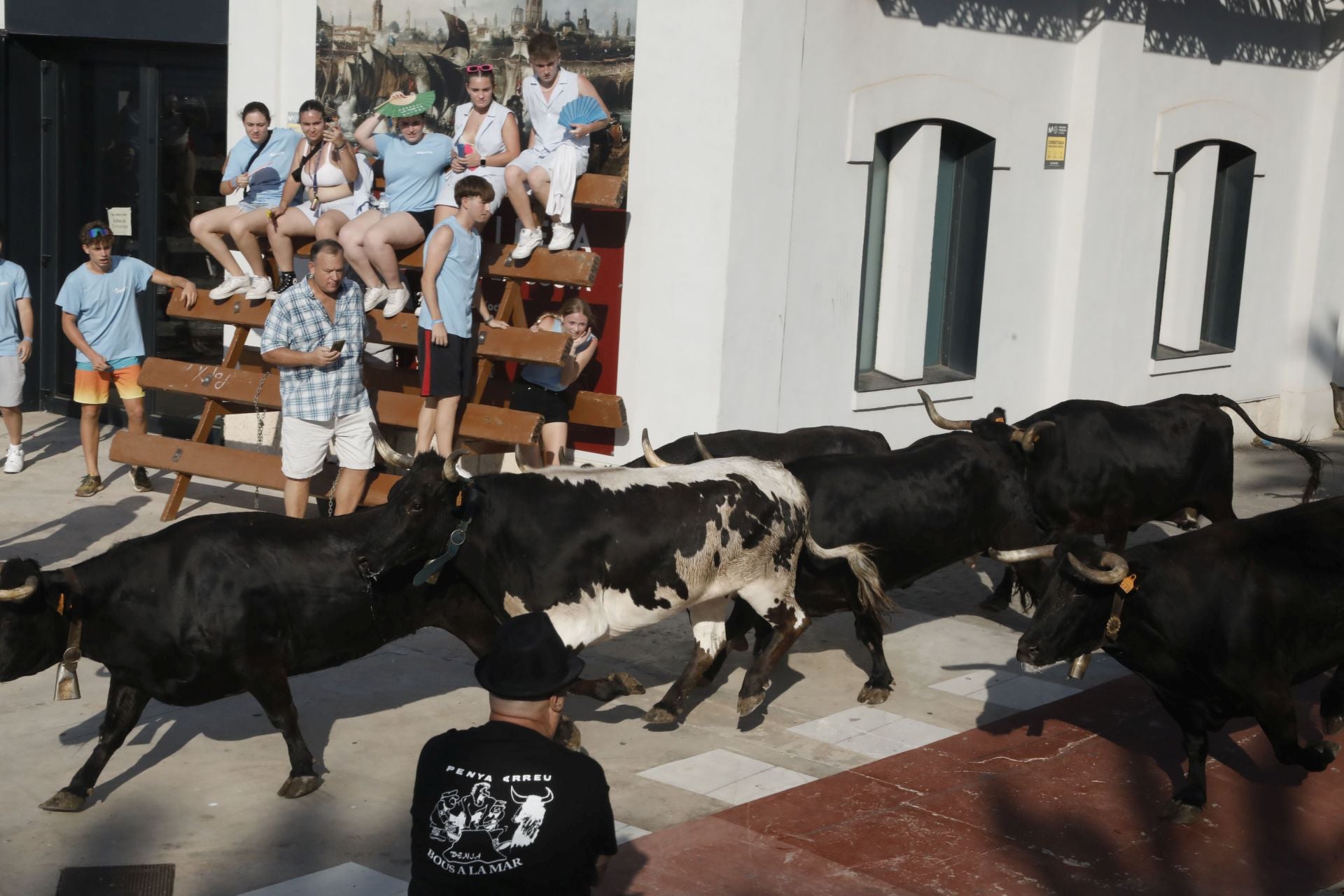 Así ha sido la entrada y primera sesión de &#039;bous a la mar&#039; en Dénia