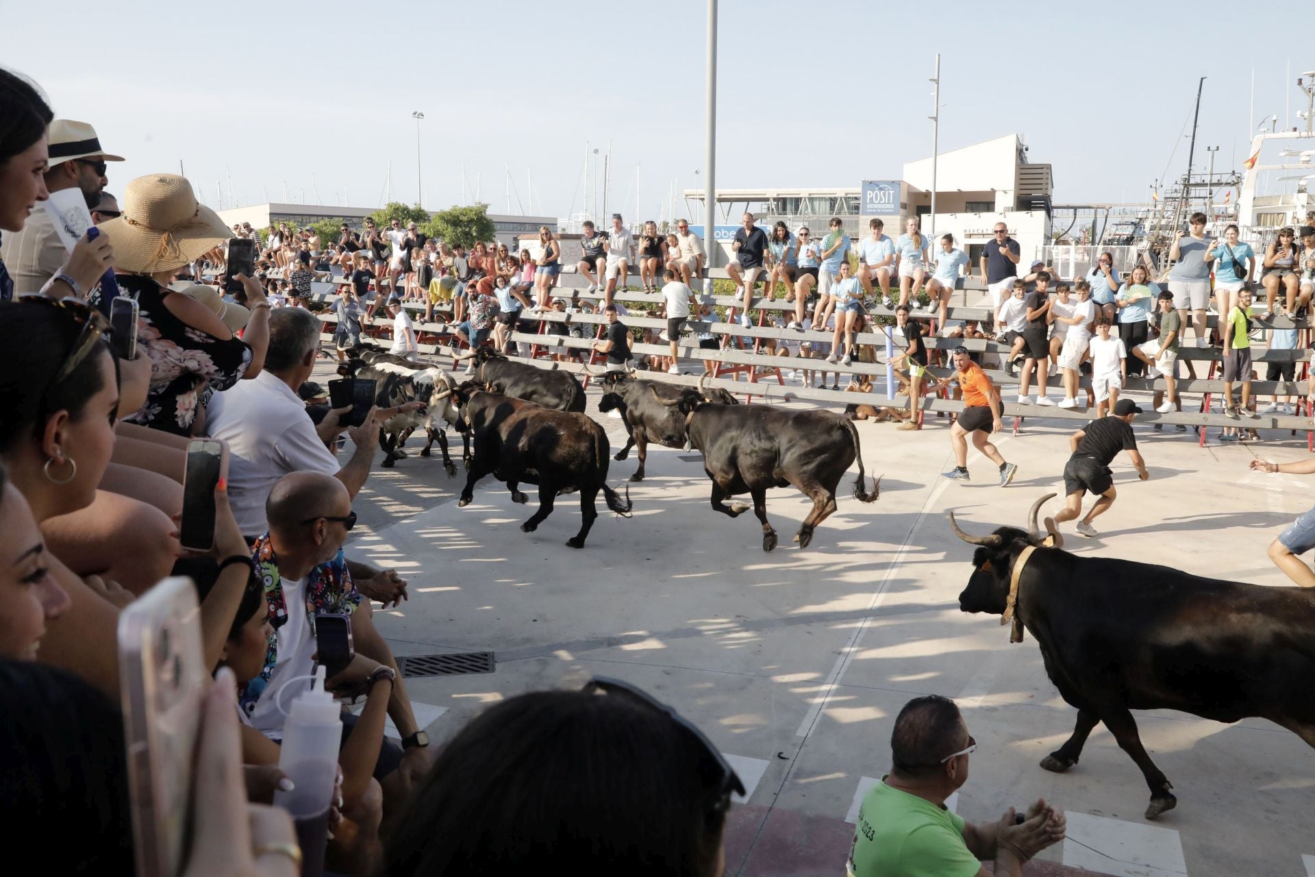 Así ha sido la entrada y primera sesión de &#039;bous a la mar&#039; en Dénia