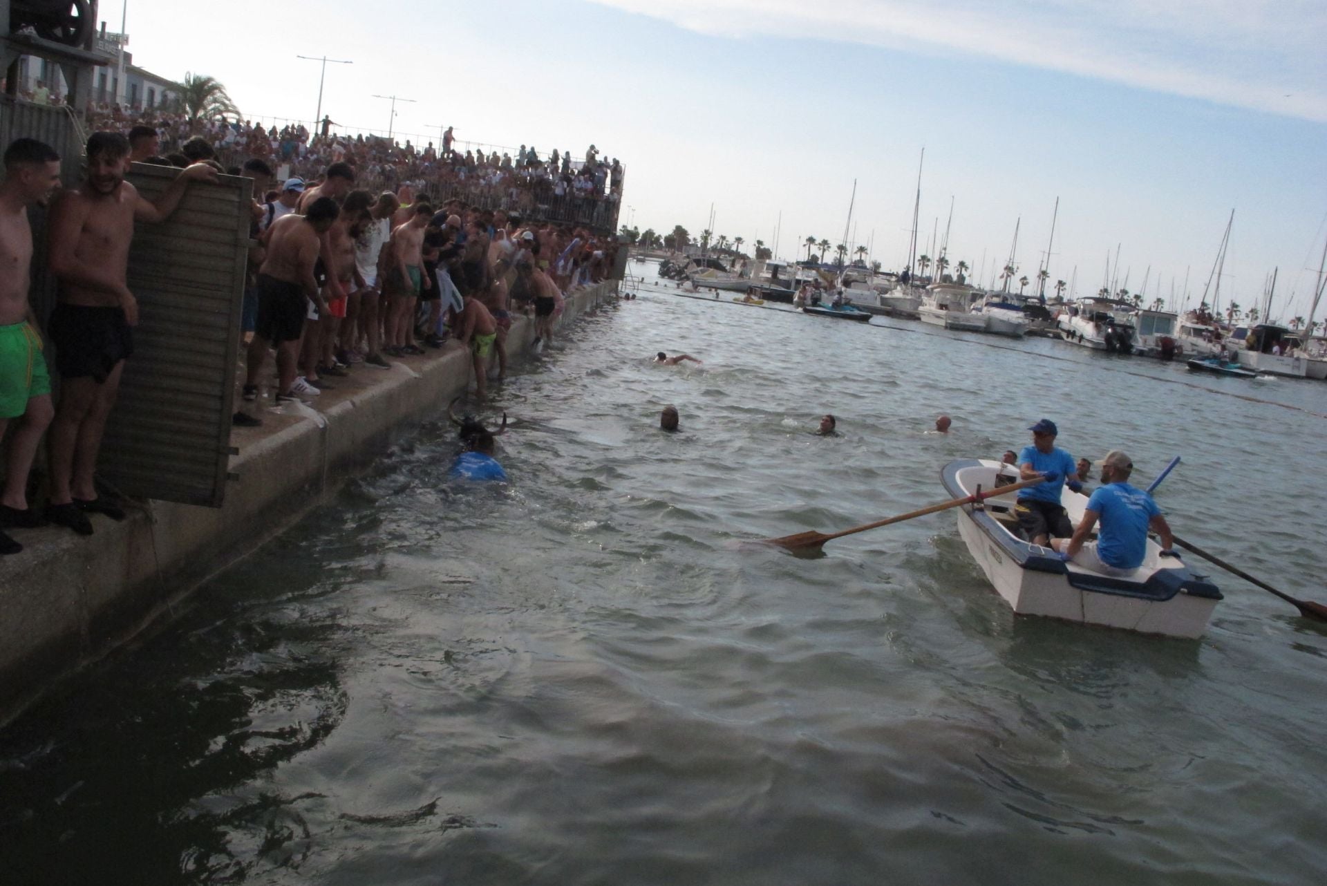 Protestas en Dénia contra els 'Bous a la mar'