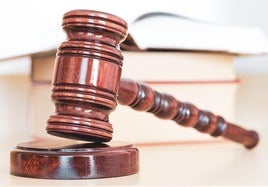 La sentencia ha sido emitida por el Juzgado de lo Contencioso-Administrativo nº 2 de Alicante.