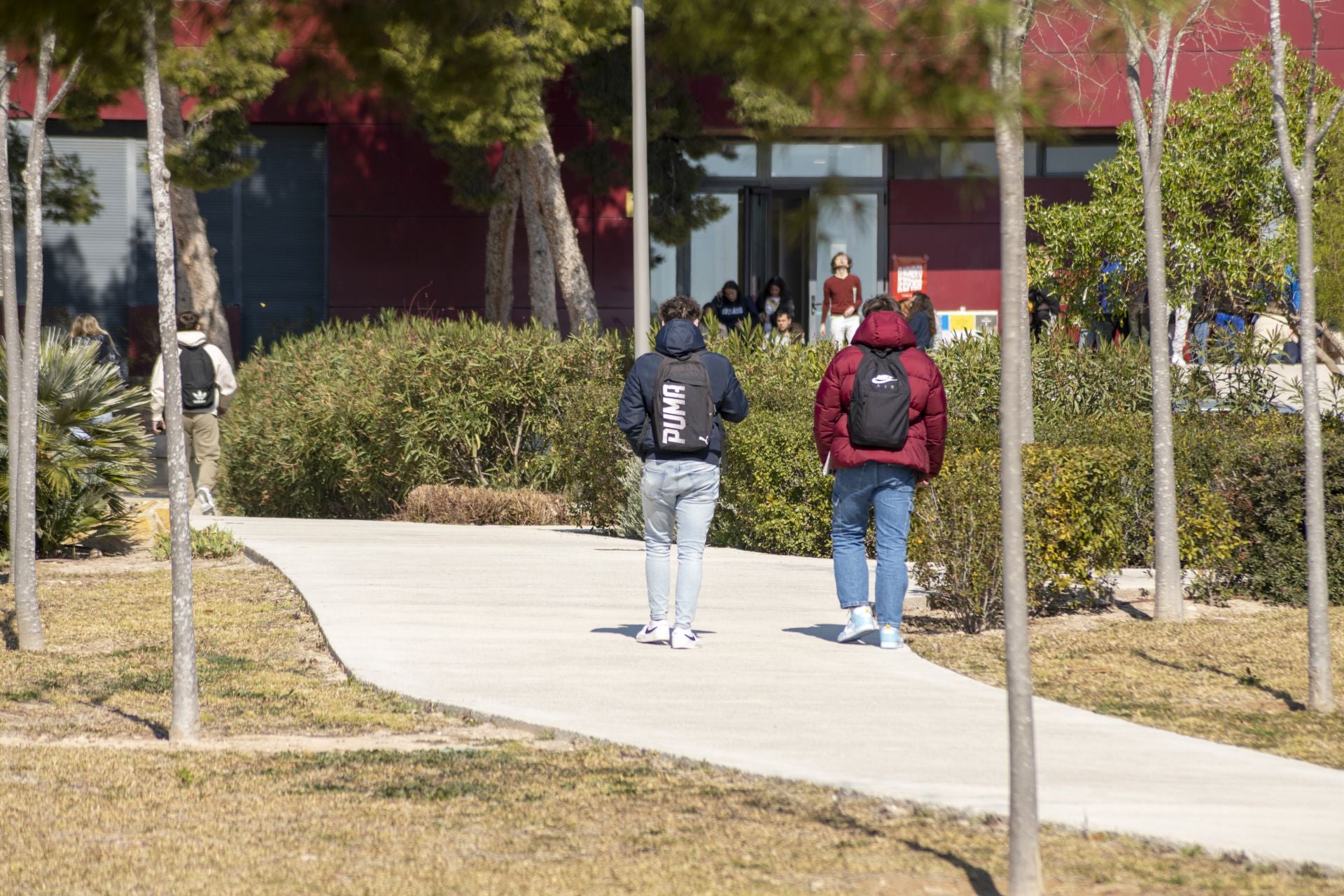 Estudiantes en el Campus de Elche de la UMH.