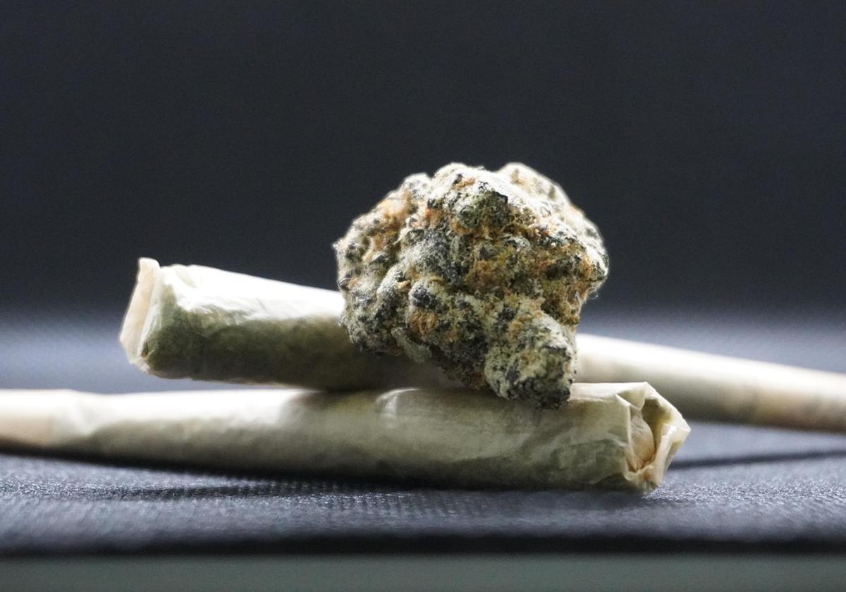 Cannabis is one of the main addictive substances consumed by young people in Alicante.